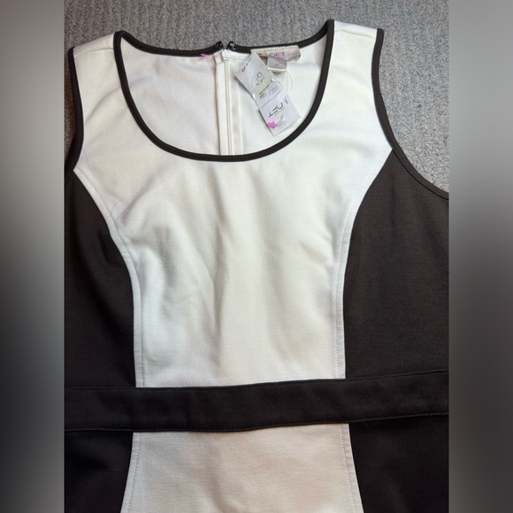 Womans size 6P NWT LOFT  sleeveless dress - Picture 2 of 4